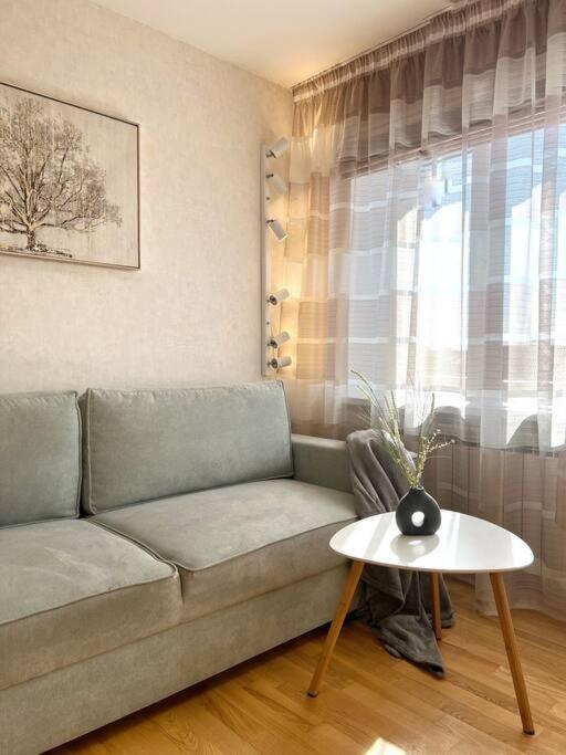 New Apartment With A View In The Town Center Narva Luaran gambar